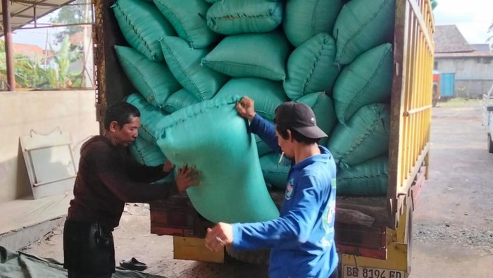 Bulog melakukan penyerapan gabah dari petani di Sumsel