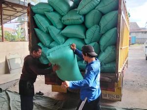 28.422 Ton Gabah Petani Diserap Bulog Sumsel Babel, Harganya Rp 6.500/Kg