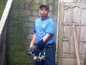 Hiii! Ular Kobra Nongkrong di Depan Pintu Dapur Warga Boyolali