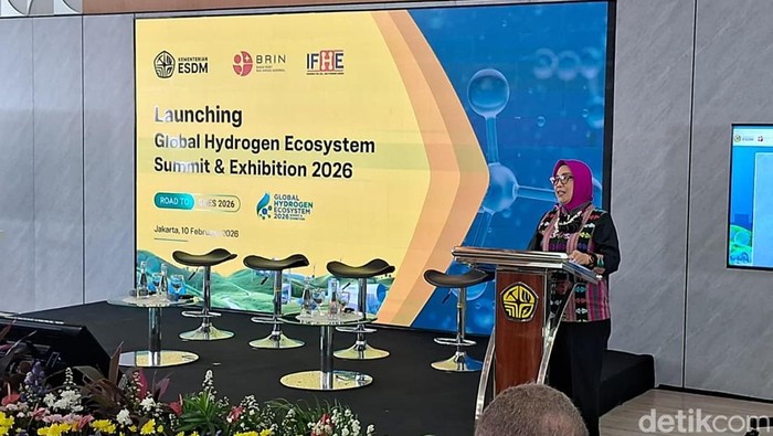 RI Mau Genjot Hidrogen buat Energi, Tak Cuma buat Pupuk-Deterjen