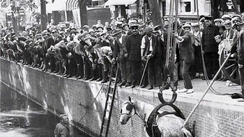 Pada 1929 di Amsterdam, seekor kuda jatuh ke kanal dan hampir tenggelam. Warga, polisi, dan pekerja bahu-membahu menyelamatkannya. Foto ini merekam belas kasih sederhana di tengah kota yang sedang berubah dan dunia yang perlahan meninggalkan kuda. Foto: Demilked