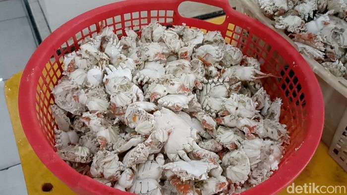 Jelang Imlek Omzet Pengepul Daging Rajungan di Probolinggo