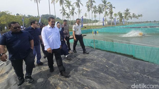 Komisi XIII cek kolam budidaya sidat yang dikerjakan napi (Audrey/detikcom).