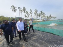 Menimipas soal Budidaya Sidat di Nusakambangan: Napi Terampil, Nelayan Hidup