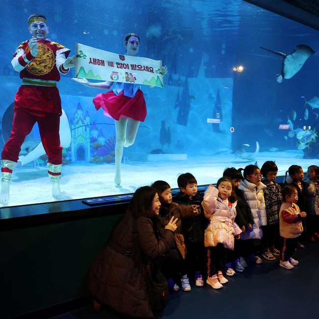 Meriahnya Akuarium Seoul Saat Menyambut Imlek