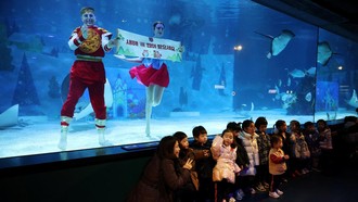 Meriahnya Akuarium Seoul Saat Menyambut Imlek