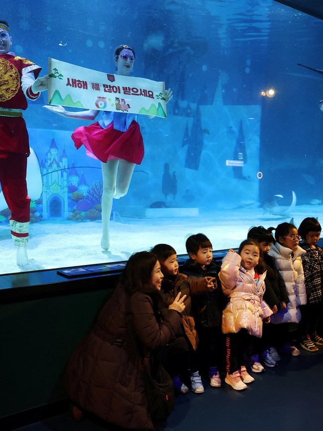 Meriahnya Akuarium Seoul Saat Menyambut Imlek