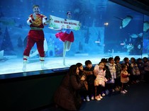 Meriahnya Akuarium Seoul Saat Menyambut Imlek