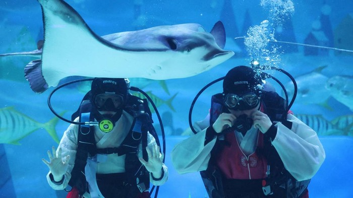 Divers wearing traditional Korean costume hanbok perform with a stingray during an event in celebration of the upcoming Lunar New Year at an aquarium in Seoul, South Korea, February 10, 2026.    REUTERS/Kim Hong-Ji     TPX IMAGES OF THE DAY