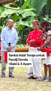 Video Pandji Jalani Sanksi Adat Toraja: Serahkan 1 Babi dan 5 Ekor Ayam