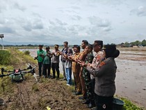 Polda Jateng Kembangkan Padi Japonica Tarabas, Dukung Kebijakan Kurangi Impor