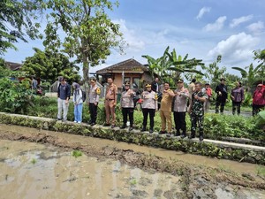 Dukung Program Pemerintah, Polda Jateng Kembangkan Padi Japonica Tarabas