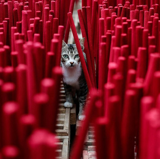 Produksi Dupa Meningkat Jelang Imlek