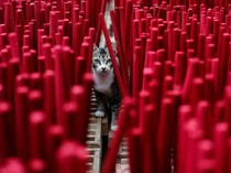 Produksi Dupa Meningkat Jelang Imlek