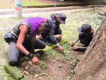 Cara Unik Satpol PP Banyuwangi Usai Razia Anak Punk