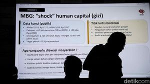 Strategi Big Bang-Big Push Dinilai Jadi Arah Kebijakan Prabowonomics