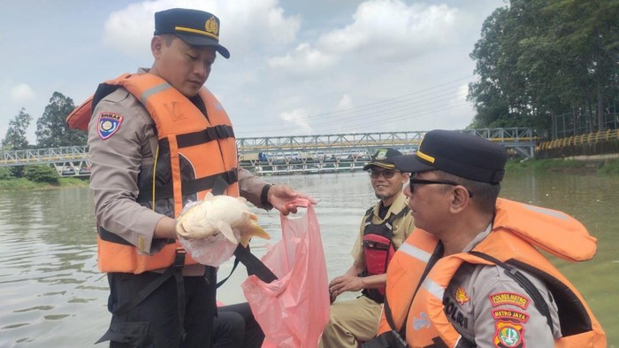 Klaim Mencengangkan! 20 Ton Pestisida Terbakar dan Cemari Sungai di Tangerang