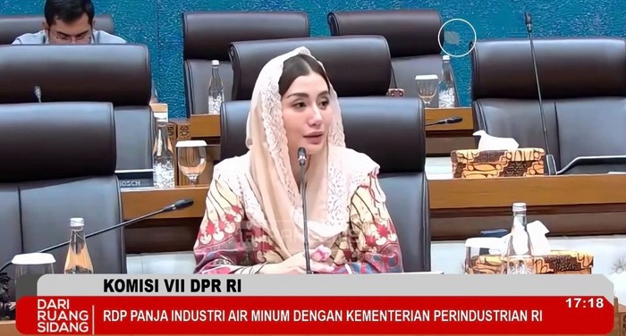 Anggota Komisi VII Novita Hardini