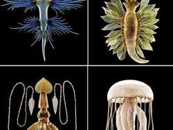 Artefak Kuno Terlalu Canggih untuk Zamannya, Dunia Terpana