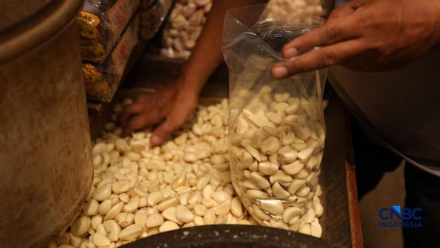 Bawang Putih. (CNBC Indonesia/Tri Susilo)