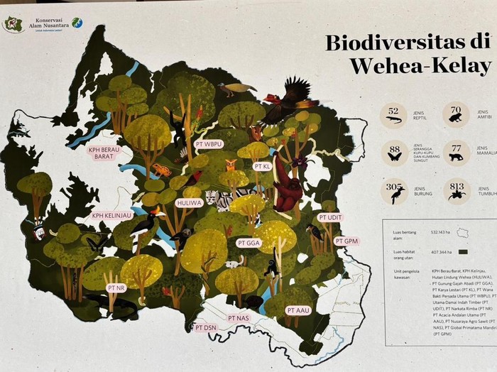 Biodiversitas di Bentang Alam Wehea-Kelay dan 6 perusahaan yang komitmen menjalankan multiusaha sesuai lanskap kehutanan. (dok Istimewa)