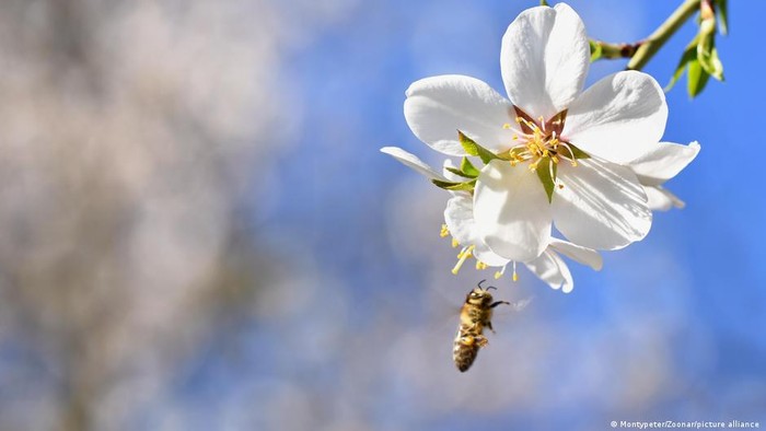 Bisnis Dunia Bikin Alam Sekarat, Kemakmuran Merosot