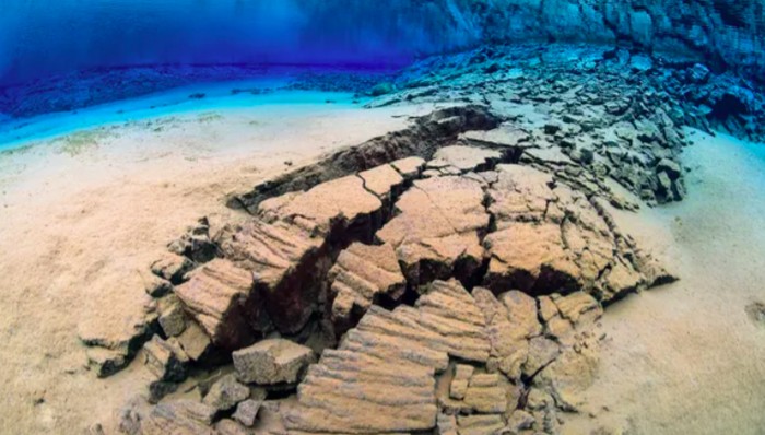 Ilustrasi bawah laut