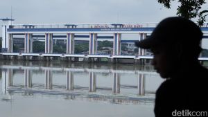 Kebakaran Gudang Picu Pencemaran Sungai Cisadane, Ikan Mati Mengapung