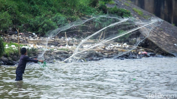 Puluhan ikan ditemukan mati mengapung di Sungai Cisadane, Tangerang, Rabu (11/2/2026). Pencemaran diduga berasal dari limpasan air bekas kebakaran gudang pabrik awal pekan ini.