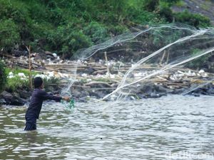 Cisadane Tercemar 2,5 Ton Pestisida, BRIN: Bahaya Jika Konsumsi Ikan!