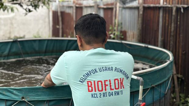 Kelompok Usaha Rumahan Bioflok membudidayakan ikan lele dan nila di pemukiman padat Kota Pontianak. (Istimewa) Kelompok Usaha Rumahan Bioflok membudidayakan ikan lele dan nila di pemukiman padat Kota Pontianak. (Istimewa)