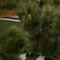 Viral Manusia Semak di Panggung Super Bowl Bad Bunny, Dibayar Rp 22 Juta