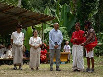 Sanksi Adat Toraja 5 Ayam dan 1 Babi untuk Pandji