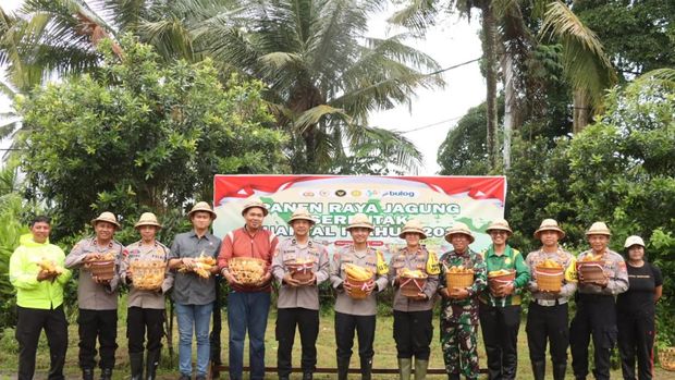 Panen raya ini melibatkan berbagai stakeholder di Gianyar