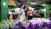 Aktivitas jual beli bunga meningkat di Pasar Bunga Rawa Belong, Jakarta Barat. Menjelang Hari Valentine, permintaan bunga potong dan buket melonjak hingga tiga kali lipat dibanding hari biasa.