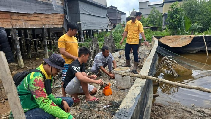 Pemberian bantuan budidaya kepiting bakau dari PT BAP kepada warga di OKI
