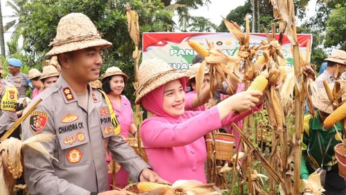 Polres Gianyar melakukan panen raya jagung hasil program ketahanan pangan di Desa Bakbakan