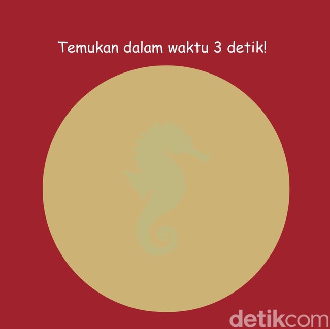 Tes Ketajaman Mata, Bisa Tebak Gambar Hewan Air Tersembunyi?