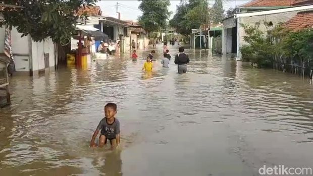 Banjir di Brebes Penampakan banjir yang menggenangi di Kecamatan Losari, Brebes, Kamis (12/2/2026). Banjir tersebut akibat meluapnya Sungai Cisanggarung.