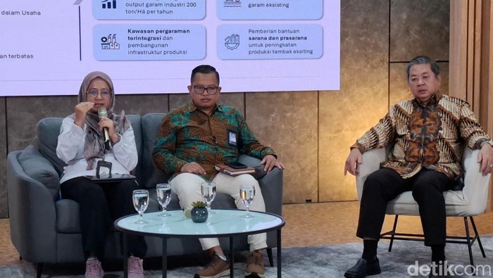 Direktur Sumber Daya Kelautan KKP Frista Yorhanita