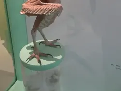 Foto-Foto Ini Dikira Editan Photoshop, Ternyata Asli!