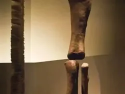 Foto-Foto Ini Dikira Editan Photoshop, Ternyata Asli!