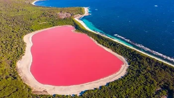 Ada sebuah danau berwarna merah muda bernama Danau Hillier di Australia Foto: Buzzfeed