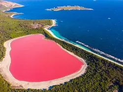 Foto-Foto Ini Dikira Editan Photoshop, Ternyata Asli!