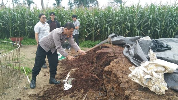 Ipda Nyoman Subamia tingkatkan ekonomi melalui budidaya jahe gajah di Bangli
