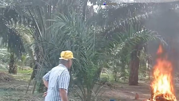 Kakek di Pasangkayu bakar motor sendiri karena kesal kerap rusak.
