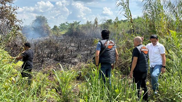 Lahan seluas 0,5 hektare di Indragiri Hilir, Riau terbakar. Polisi menangkap pelaku dan memadamkan api, Rabu (11/2/2026).