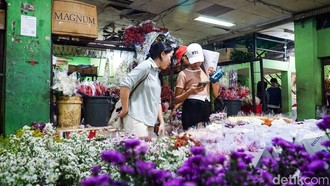 Valentine di Pasar Bunga Rawa Belong: Berburu Bunga & Suasana Beda