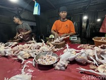 Harga Daging Ayam di Sumut Kian Mahal Jelang Ramadan