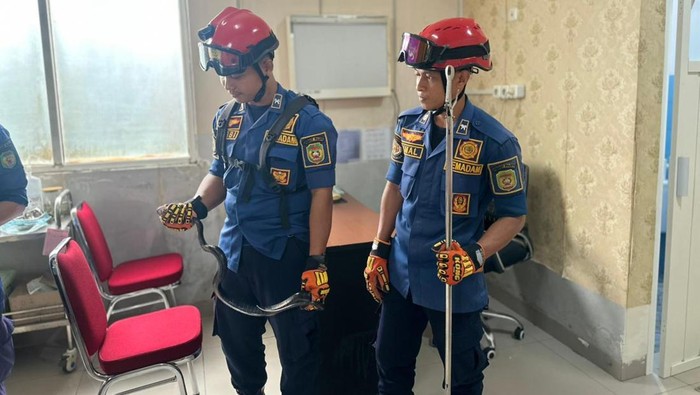Personel Damkar evakuasi ular cincin emas berbisa dari RSUD Sawerigading Palopo.